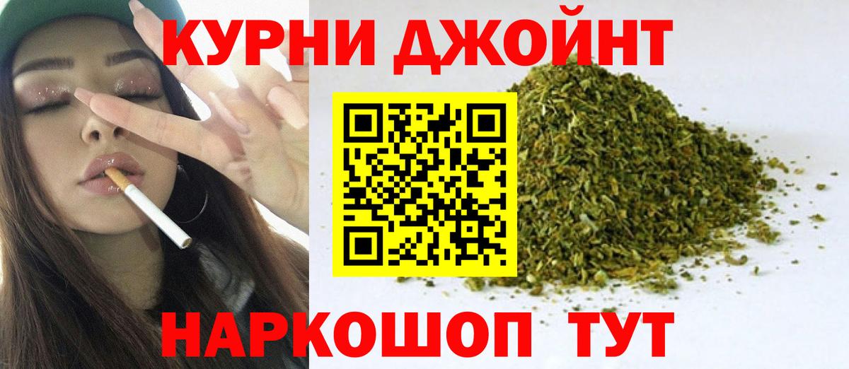 Канабис планчик Отрадное